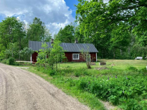 Traditional Swedish House In The Forest